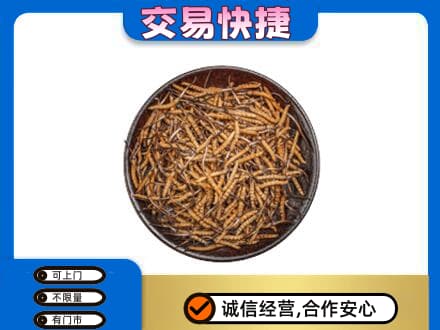 苏州吴江区高价回收散虫草